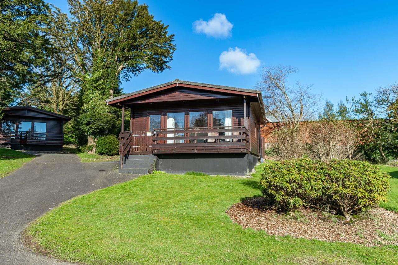 Bluebell Lodge 24 With Hot Tub Newton Stewart Exteriér fotografie